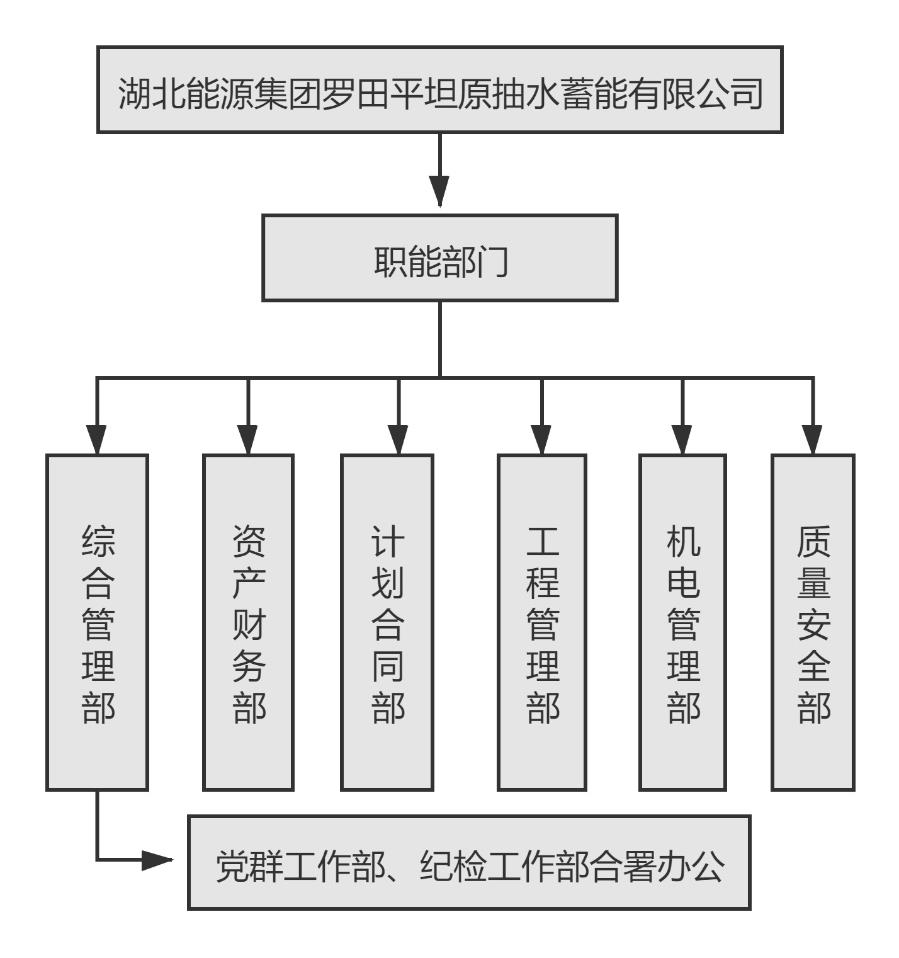 湖北能源集团罗田平坦原抽水蓄能有限公司组织机构